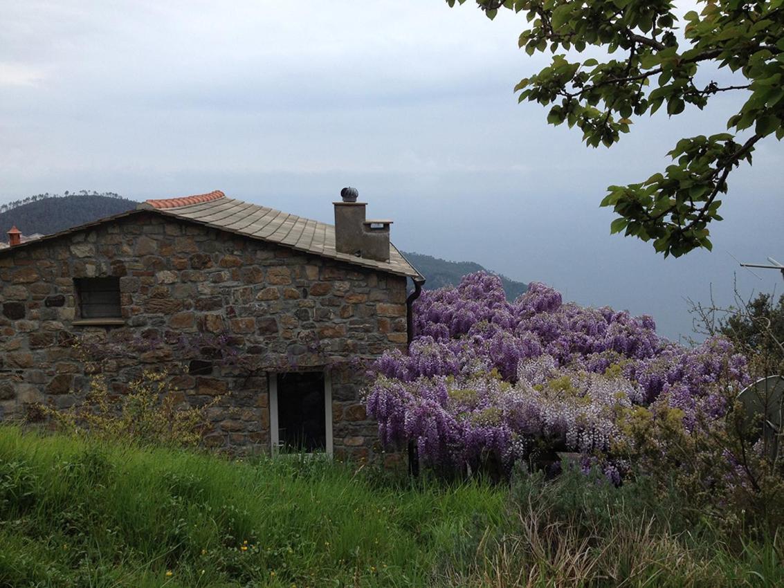 Cottage La Torre Del Pittore Bonassola Extérieur photo